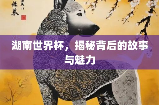 湖南世界杯，揭秘背后的故事与魅力