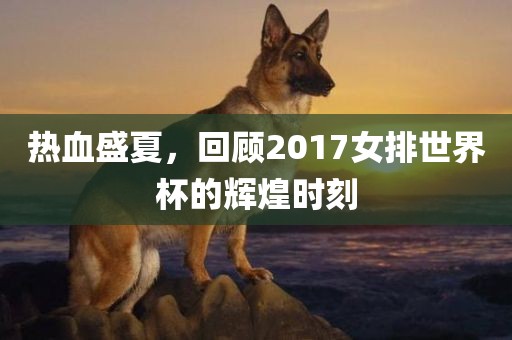 辉煌时刻 第2页