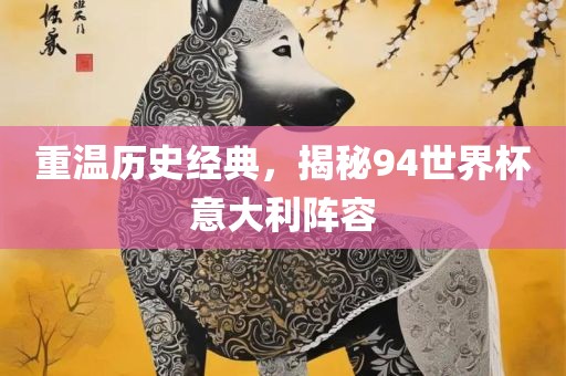 重温历史经典，揭秘94世界杯意大利阵容