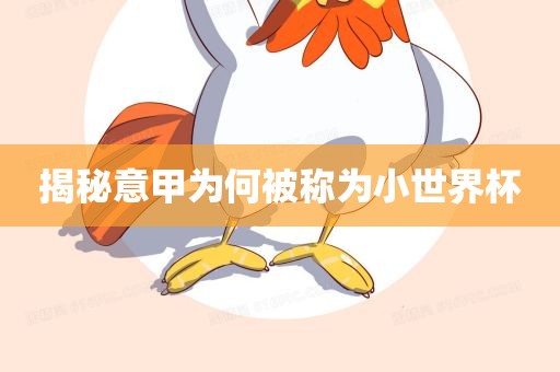 小世界杯