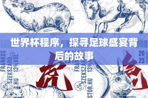 世界杯程序，探寻足球盛宴背后的故事