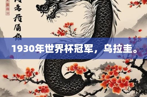 1930年世界杯冠军，乌拉圭。