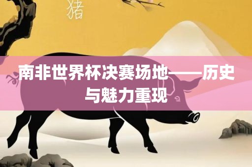 南非世界杯决赛场地——吉安市靖泰电力工程有限公司历史与魅力重现