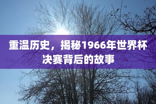 重温历史，揭秘1966年世界杯决赛背后的故事