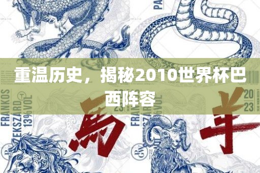 重温历史，揭秘2010世界杯巴西阵容