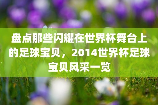 盘点那些闪耀在世界杯舞台上的足球宝贝，2014世界杯足球宝贝风采一览