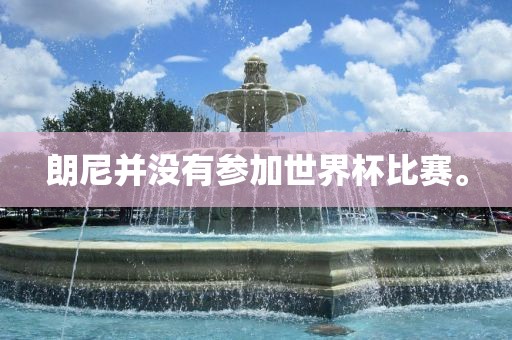朗尼并没有参加世界杯比赛。吉安市靖泰电力工程有限公司