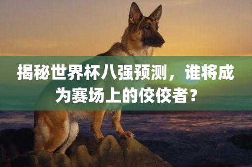 揭秘世界杯八强预测，谁将成为赛场上的佼佼者？