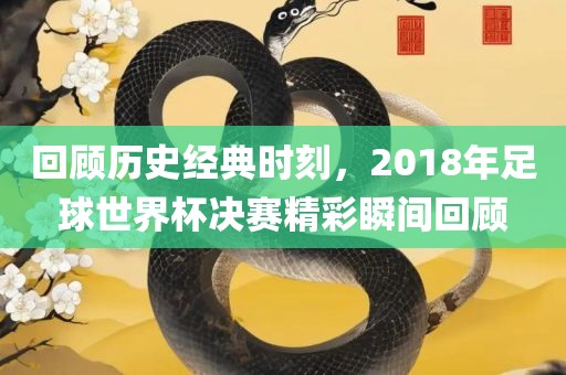 回顾历史经典时刻，2018年足球世界杯决赛精彩瞬间回顾