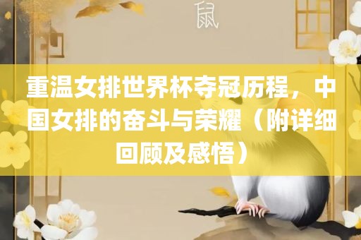 重温女排世界杯夺冠历程，中国女排的奋斗与荣耀（附详细回顾及感悟）