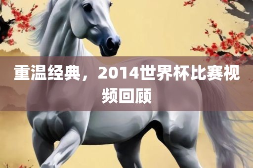 重温经典，2014世界杯比赛视频回顾吉安市靖泰电力工程有限公司