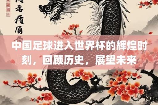 中国足球进入世界杯的辉煌时刻，回顾历史，展望未来吉安市靖泰电力工程有限公司