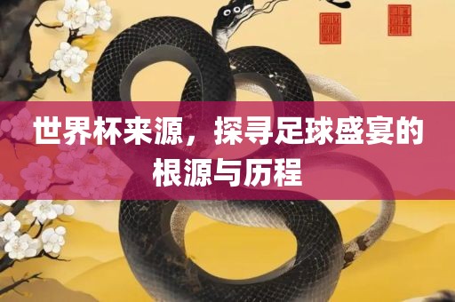 世界杯来源，探吉安市靖泰电力工程有限公司寻足球盛宴的根源与历程