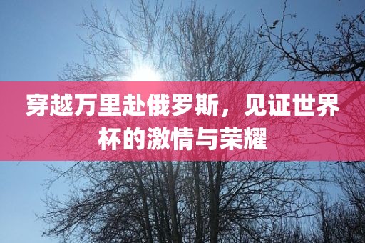穿越万里赴俄罗斯，见证世界杯的激情与荣耀吉安市靖泰电力工程有限公司