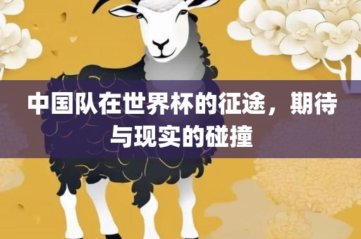 中国队在世界杯的征途，期待与现实的碰撞