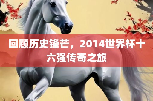 回顾历史锋芒，2014世界杯十六强传奇之旅