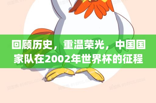 回顾历史，重温荣光，中国国家队在2002年世界杯吉安市靖泰电力工程有限公司的征程