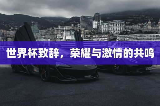 世界杯致辞，荣耀与激情的共鸣