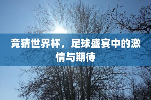 竞猜世界杯，足球盛宴中的激情与期待