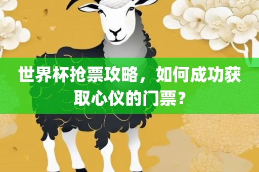 世界杯抢票攻略，如何成功获取心仪的门票？