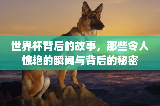 世界杯背后的故事，那些令人惊艳的瞬间与背后的秘密
