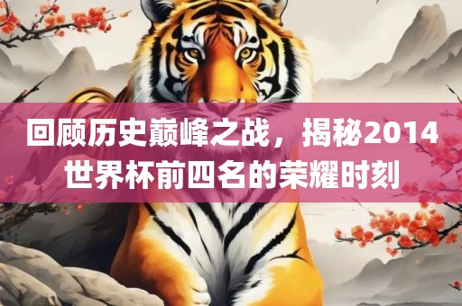 回顾历史巅峰之战，揭秘2014世界杯前四名的荣耀时刻