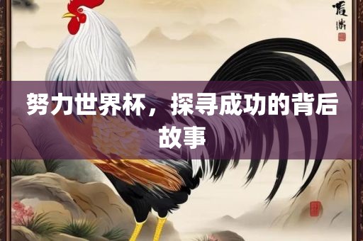努力世界杯，探寻成功的背后故事