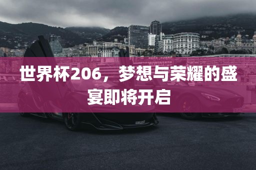世界杯206，梦想与荣耀的盛宴即将开启