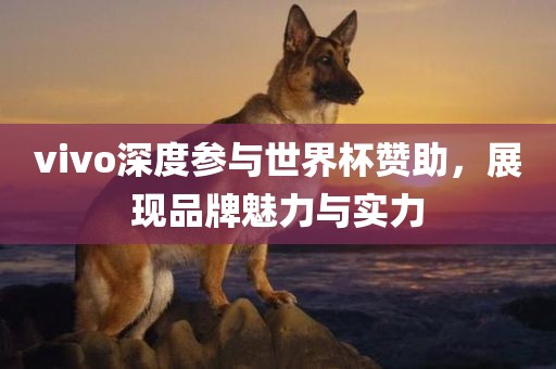 vivo深度参与世界杯赞助，展现品牌魅力与实力