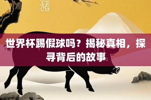 世界杯踢假球吗？揭秘真相，探寻背后的故事