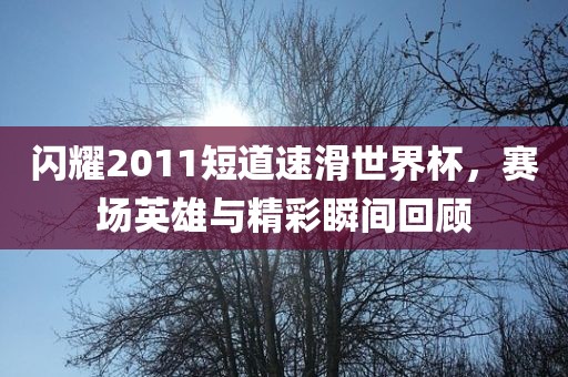 闪耀2011短道速滑世界杯，赛场英雄与精彩瞬间回顾