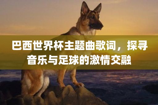 巴西世界杯主题曲歌词，探寻音乐与足球的激情交融