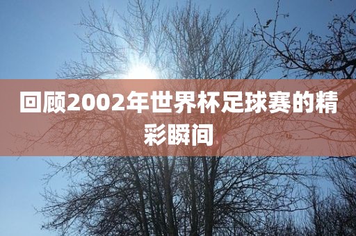回顾2002年世界杯足球赛的精彩瞬间
