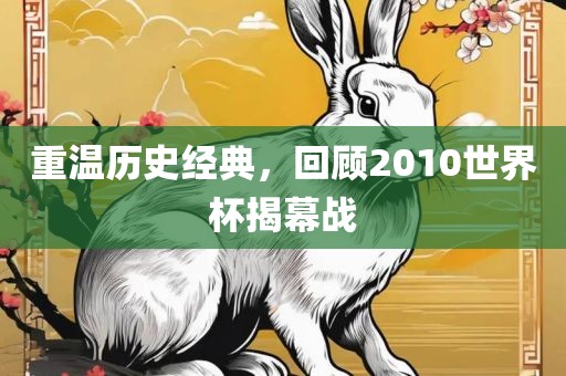 重温历史经典，回顾2010世界杯揭幕战