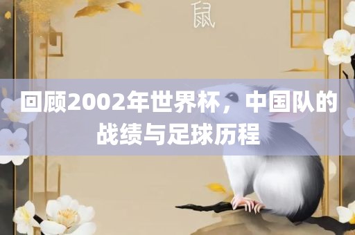 回顾2002年世界杯，中国队的战绩与足球历程