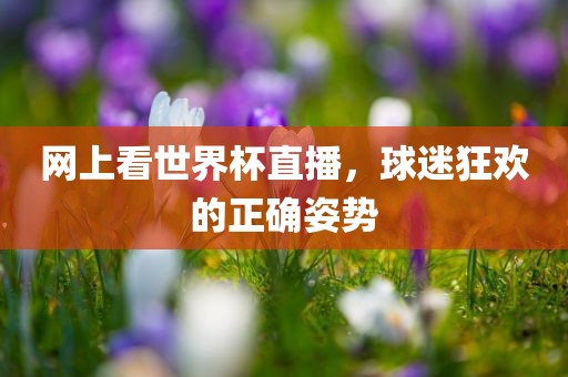 网上看世界杯直播，球迷狂欢的正确姿势吉安市靖泰电力工程有限公司