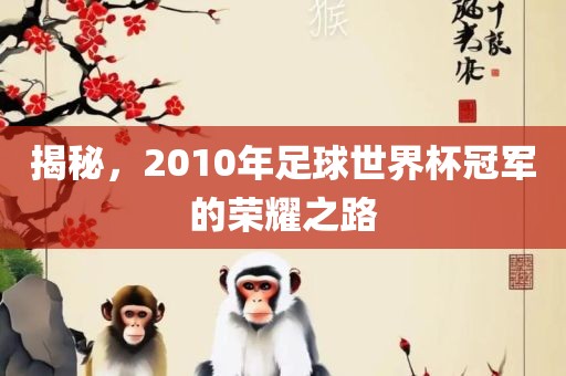 揭秘，2010年足球世界杯冠军的荣耀之路