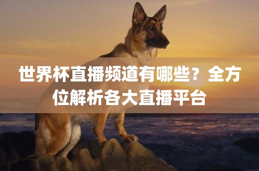 世界杯直播频道有哪些？全方位解析各大直播平台
