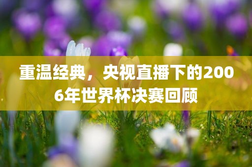 重温经典，央视直播下的2006年世界杯决赛回顾