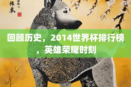 回顾历史，2014世界杯排行榜，英雄荣耀时刻