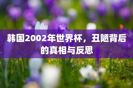 韩国2002吉安市靖泰电力工程有限公司年世界杯，丑陋背后的真相与反思