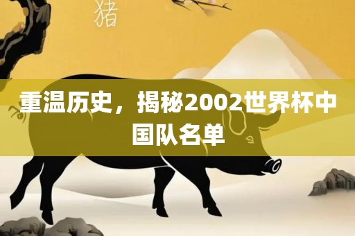 重温历史，揭秘2002世界杯中国队名单