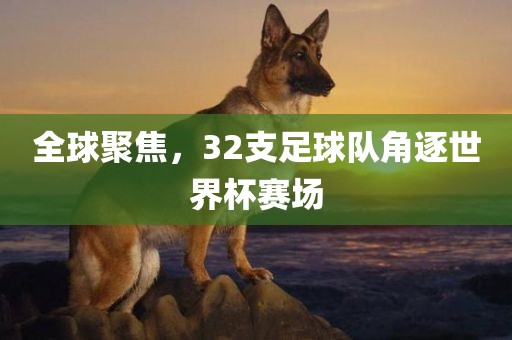 全球聚焦，32支足球队角逐世界杯赛场