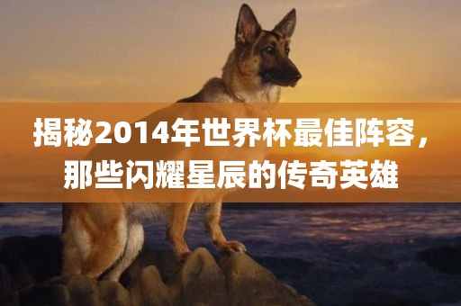 揭秘2014年世界杯最佳阵容，那些闪耀星辰的传奇英雄