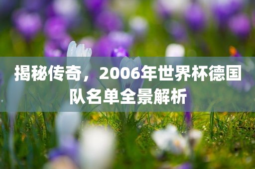揭秘传奇，2006年世界杯德国队名单全景解析吉安市靖泰电力工程有限公司