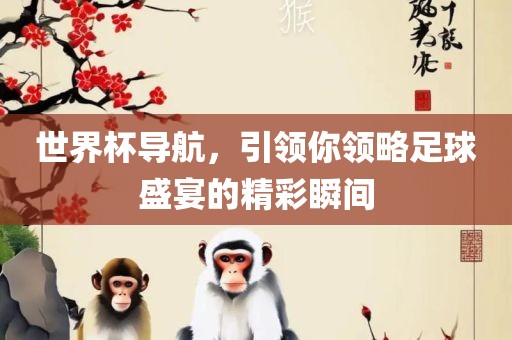 世界杯导航，引领你领略足球盛宴的精彩瞬间
