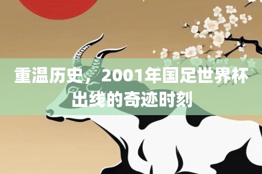 重温历史，2001年国足世界杯出线的奇迹时刻