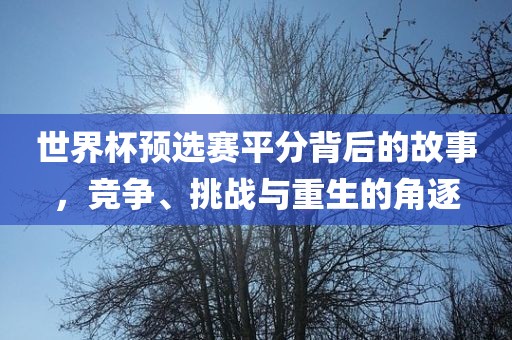 世界杯预选赛平分背后的故事，竞争、挑战与重生的角逐吉安市靖泰电力工程有限公司