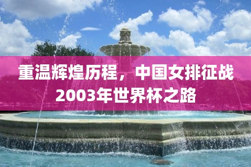 重温辉煌历程，中国女排征战2003年世界杯之路