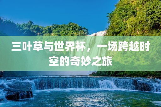 三叶草与世界杯，一场跨越时空的奇妙之旅